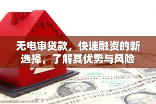 东光无电审贷款，快速融资的新选择，了解其优势与风险