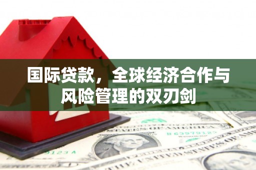 东光国际贷款，全球经济合作与风险管理的双刃剑