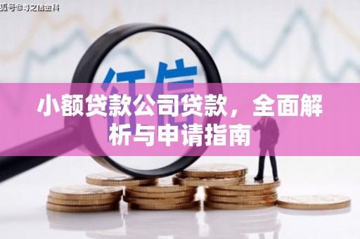 东光小额贷款公司贷款，全面解析与申请指南