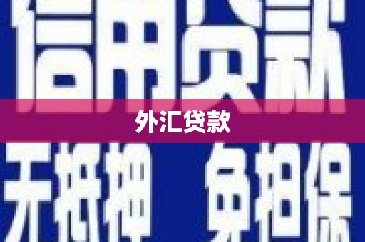 东光外汇贷款