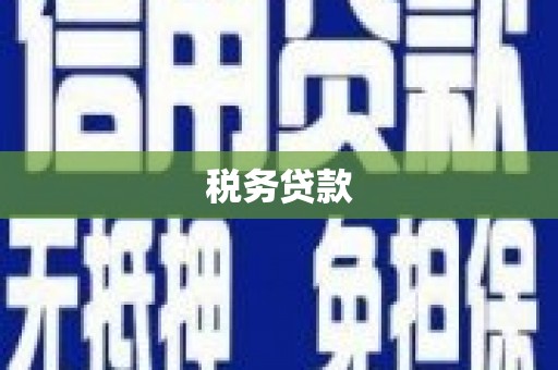 东光税务贷款