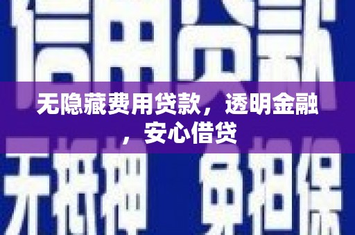 东光无隐藏费用贷款，透明金融，安心借贷