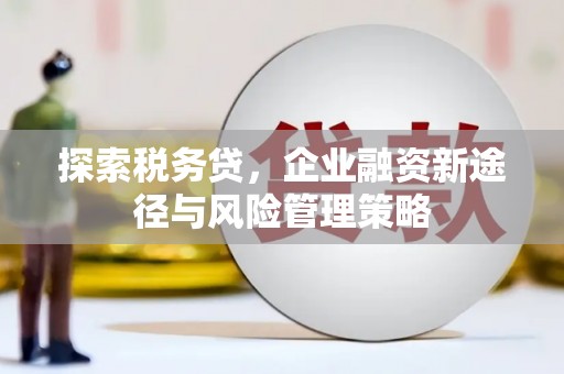 东光探索税务贷，企业融资新途径与风险管理策略