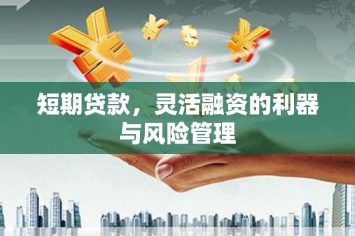 东光短期贷款，灵活融资的利器与风险管理