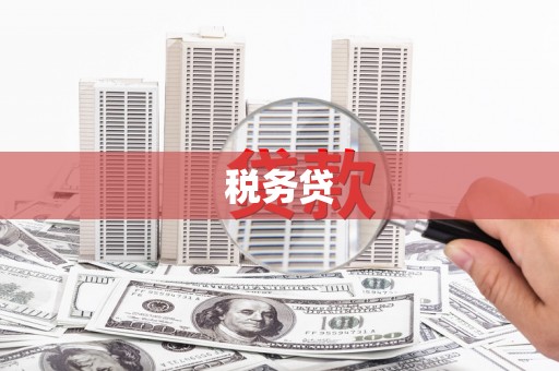 东光税务贷