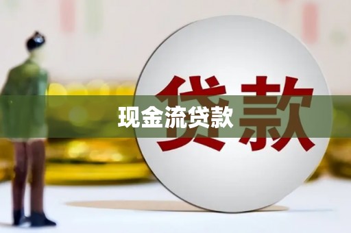 东光现金流贷款