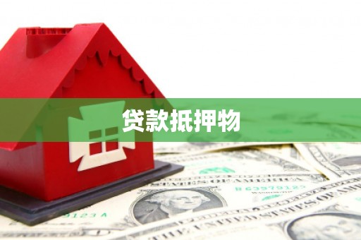 东光贷款抵押物