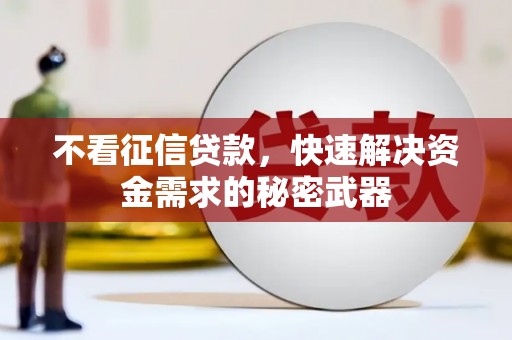 东光不看征信贷款，快速解决资金需求的秘密武器