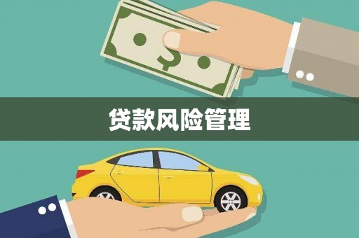 东光贷款风险管理