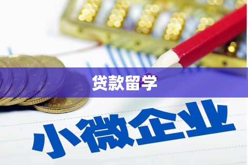 东光贷款留学