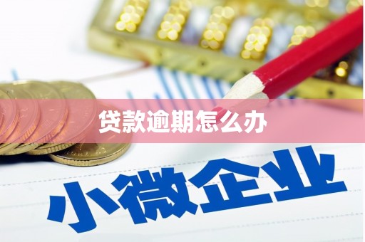东光贷款逾期怎么办