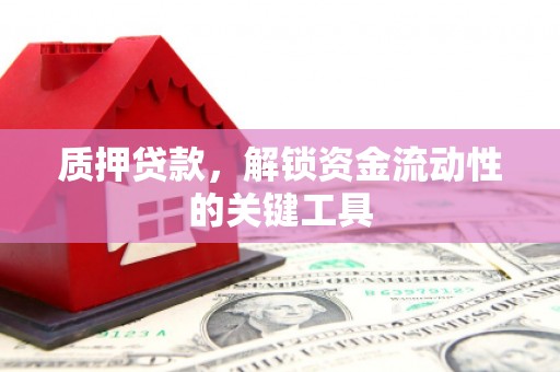 东光质押贷款，解锁资金流动性的关键工具
