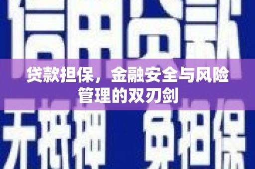东光贷款担保，金融安全与风险管理的双刃剑