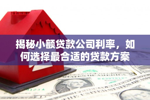 东光揭秘小额贷款公司利率，如何选择最合适的贷款方案