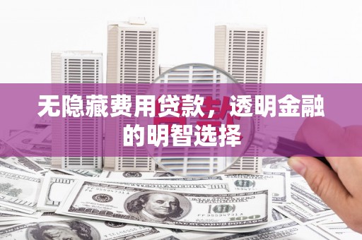 东光无隐藏费用贷款，透明金融的明智选择