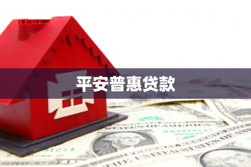 东光平安普惠贷款