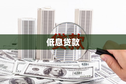 东光低息贷款