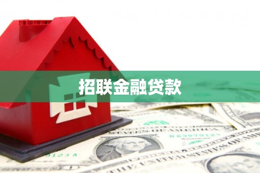 东光招联金融贷款