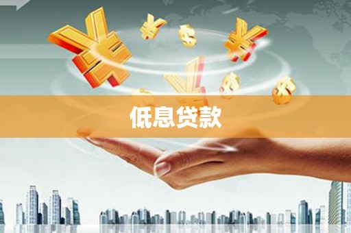 东光低息贷款