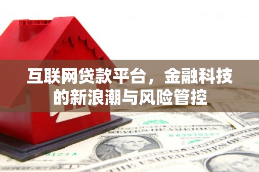 东光互联网贷款平台，金融科技的新浪潮与风险管控