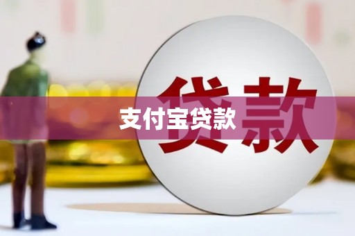 东光支付宝贷款