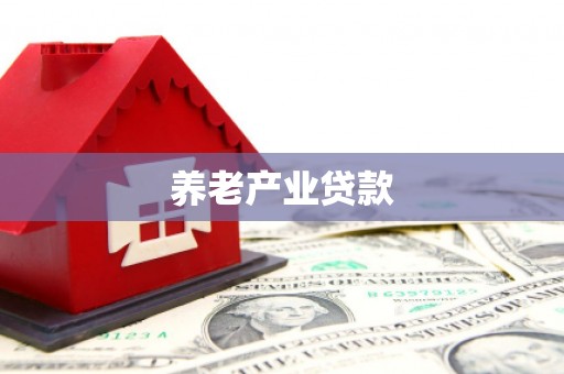 东光养老产业贷款
