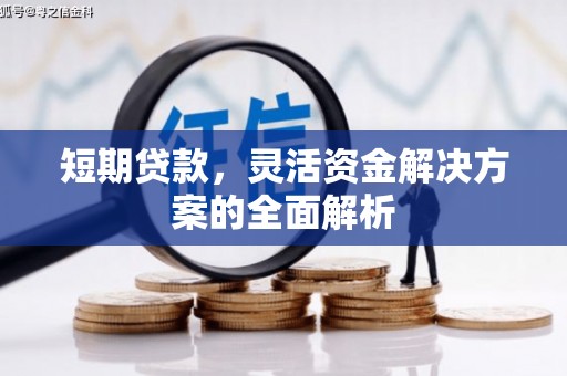 东光短期贷款，灵活资金解决方案的全面解析