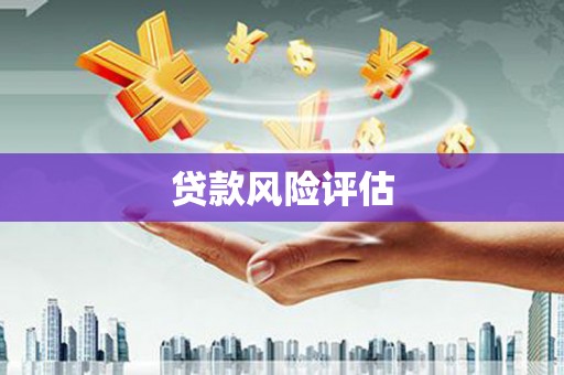 东光贷款风险评估