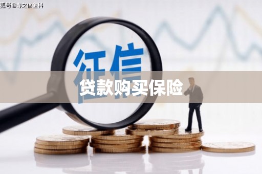 东光贷款购买保险