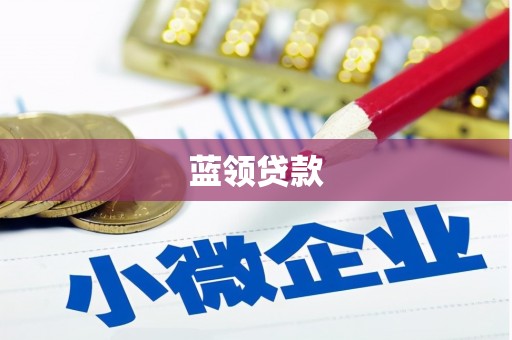 东光蓝领贷款