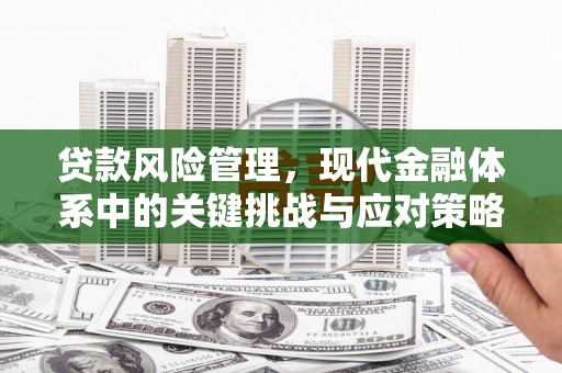 东光贷款风险管理，现代金融体系中的关键挑战与应对策略