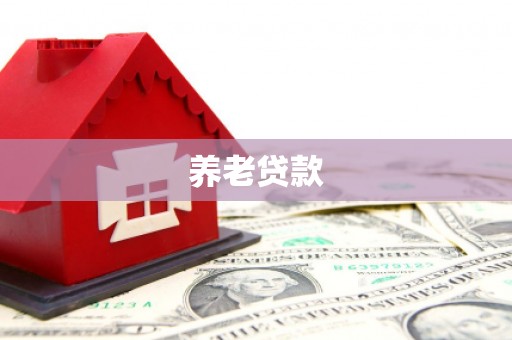 东光养老贷款