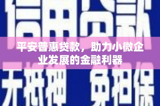 东光平安普惠贷款，助力小微企业发展的金融利器