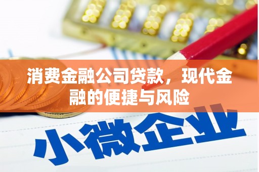 东光消费金融公司贷款，现代金融的便捷与风险