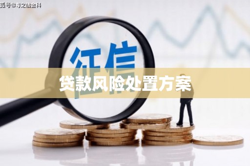 东光贷款风险处置方案