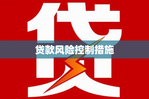 东光贷款风险控制措施