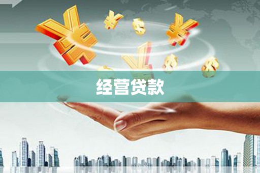 东光经营贷款