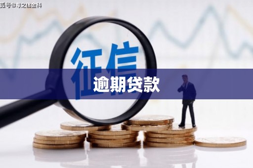 东光逾期贷款